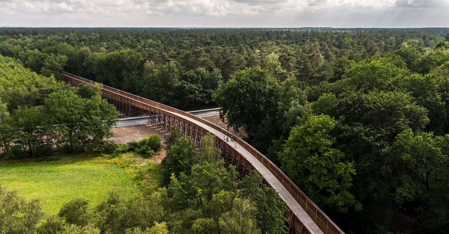 Maashuis fietsen door de bomen