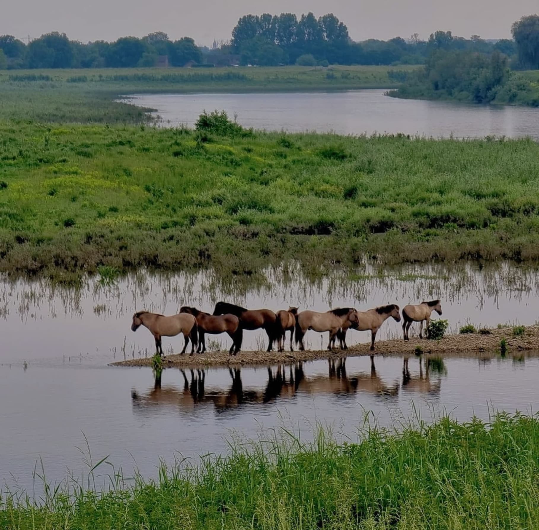 Wandelen Maasvallei